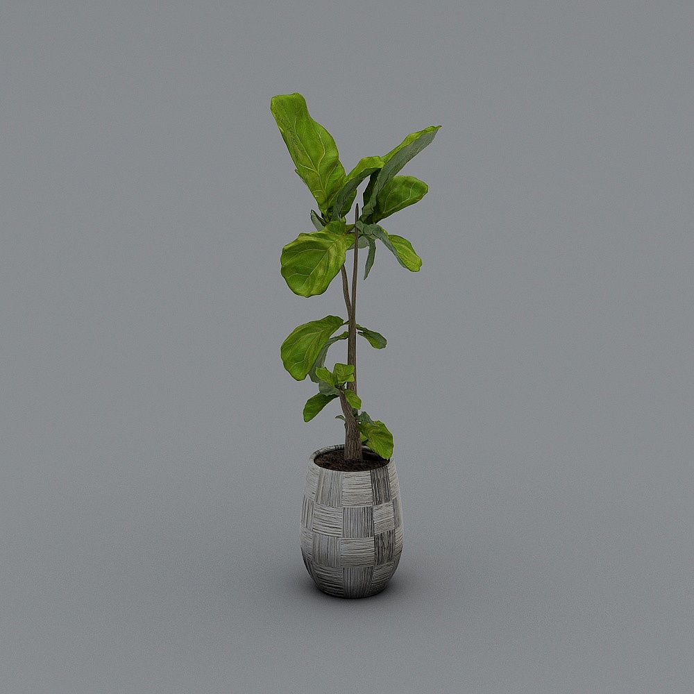 YB-Nordic plant potted green plant 317504-5