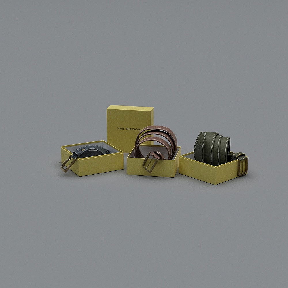 Modern belt 3D model