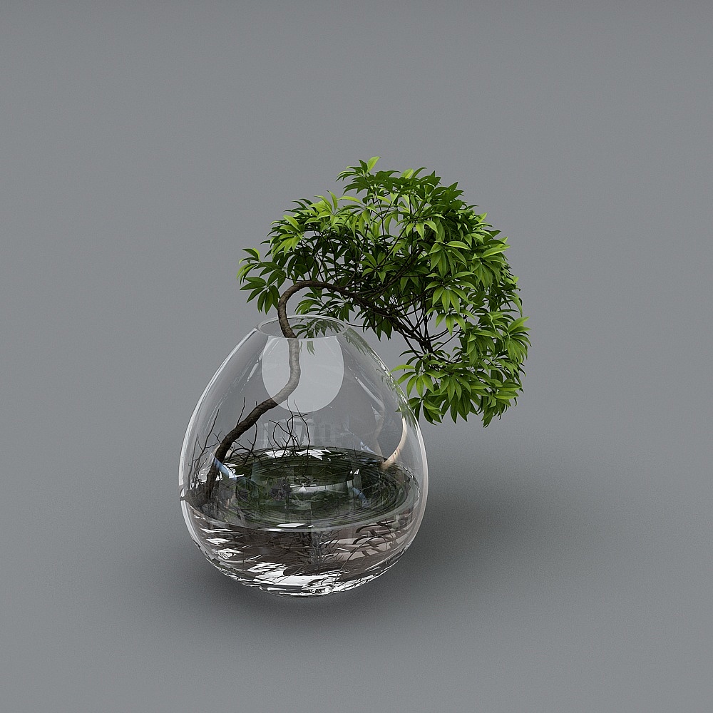 Water Droplet Green Plant 3D model