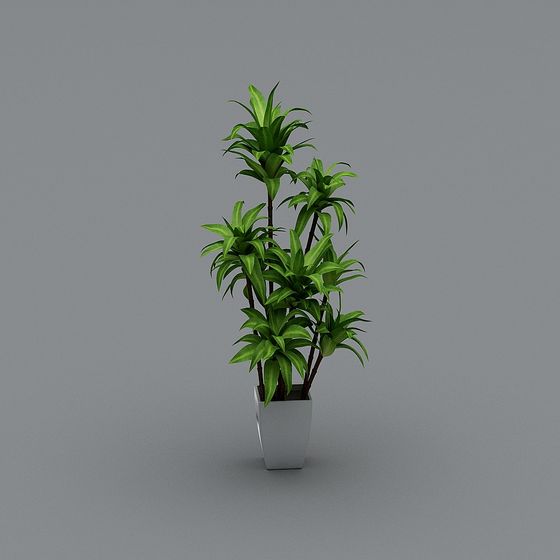 Lively Low-Poly Green Plant 3D model