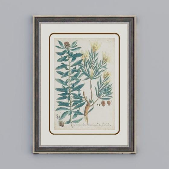 Vintage Botanical Illustration 3D Model for Creative Projects