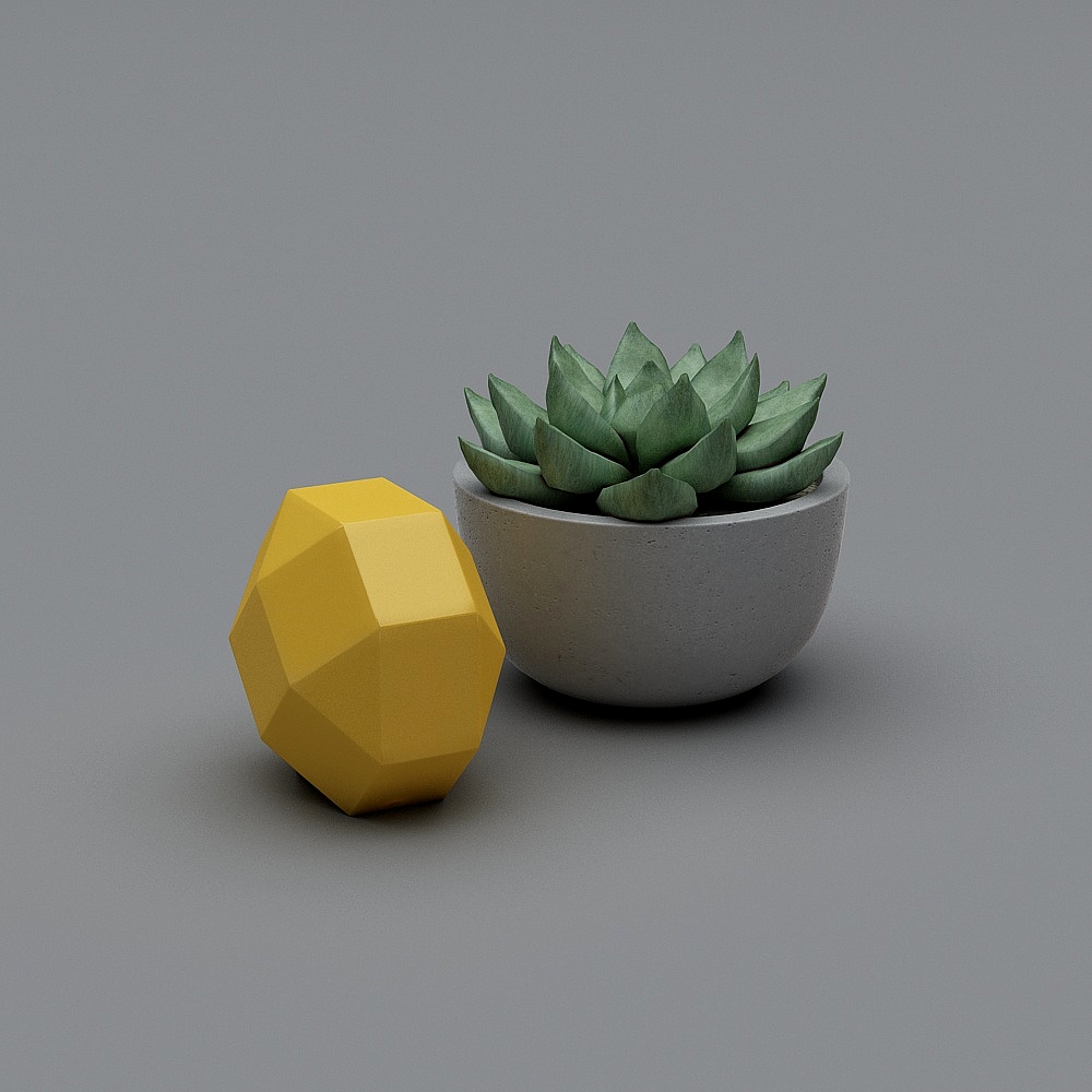 Unique Geometric Succulent Planter 3D model