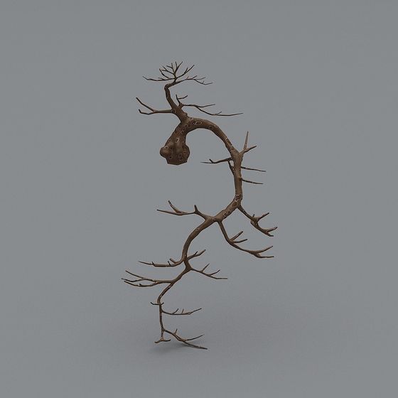 Soul of Deadwood 3D model