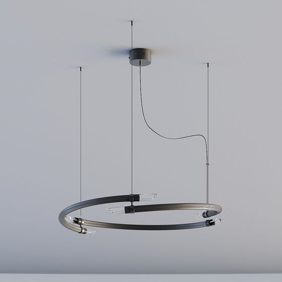 Stylish Circular Pendant Light 3D model