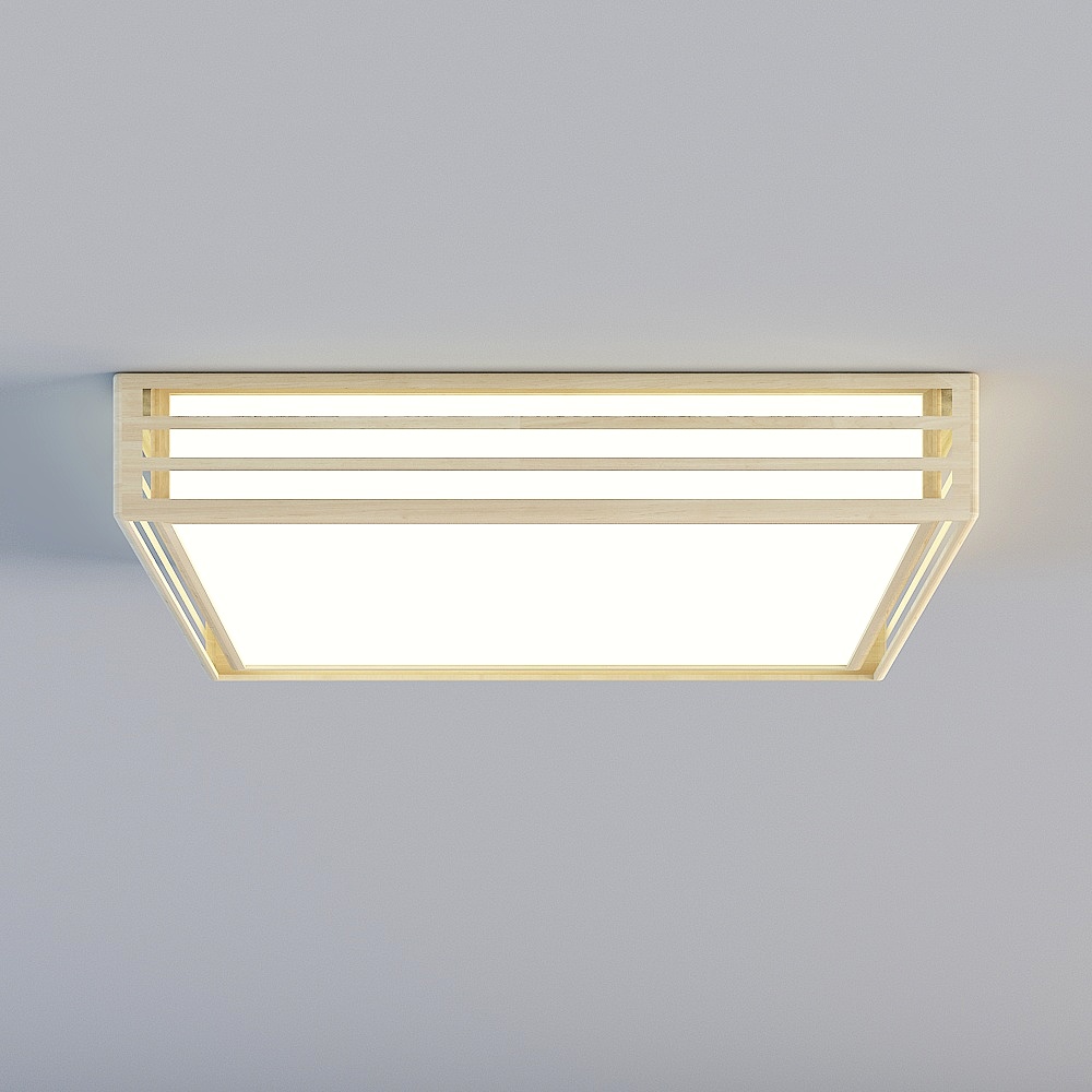 Ceiling light