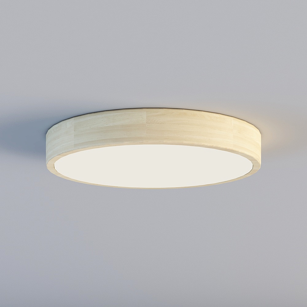 Ceiling light