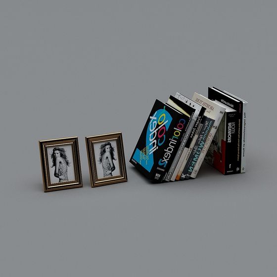 Colorful Book Collection with Vintage Photo Frames 3D model