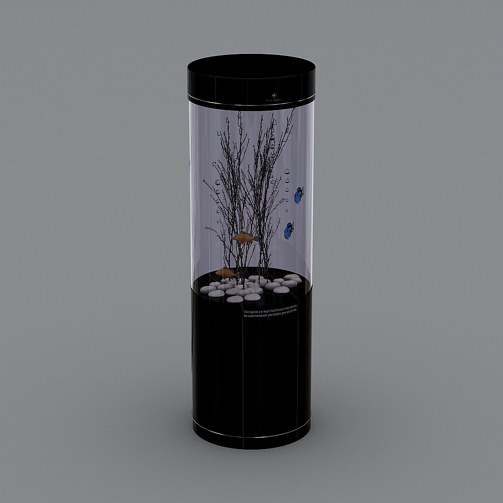 Cleair Corie yêu thích bể cá sinh thái hình trụ nhỏ và vừa không cần thay nước