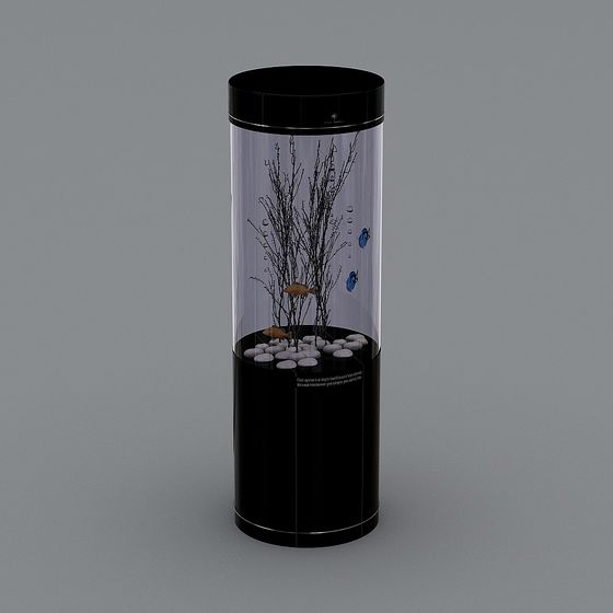 Cleair Corie yêu thích bể cá sinh thái hình trụ nhỏ và vừa không cần thay nước