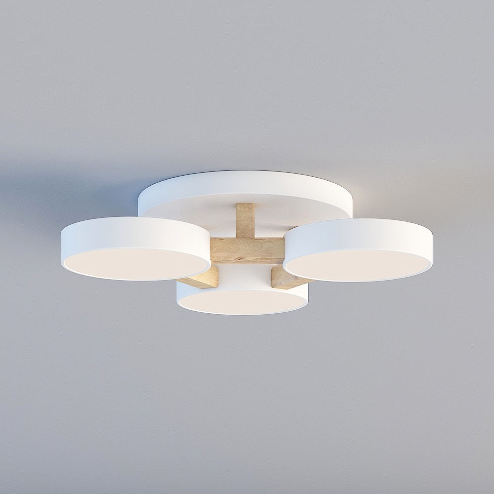 Ceiling light