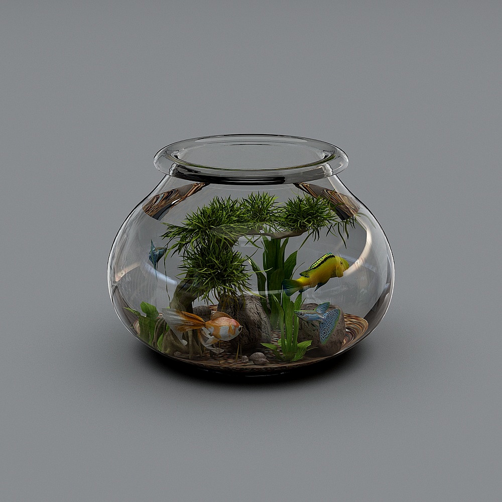 Vibrant Low-Poly Fish Tank 3D model