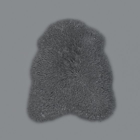 Tappeto N. 11 (2019)