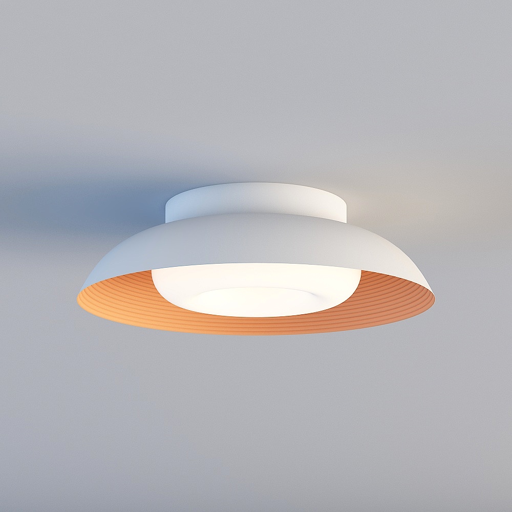 Ceiling light