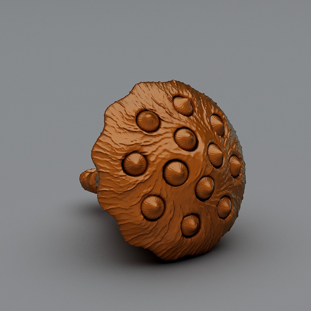 Realistic Low Poly Lotus Pod 3D model