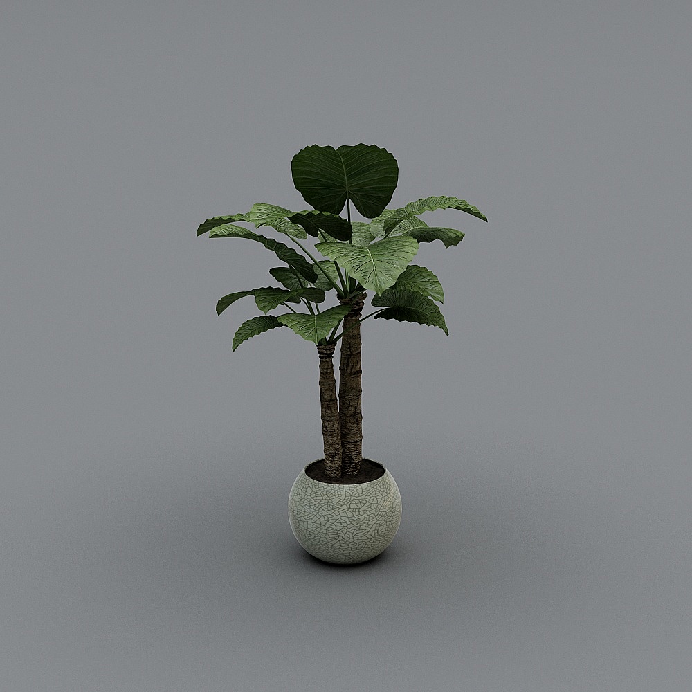 Indoor Green Plant Potted 3D Model