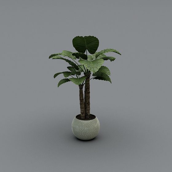 Indoor Green Plant Potted 3D Model