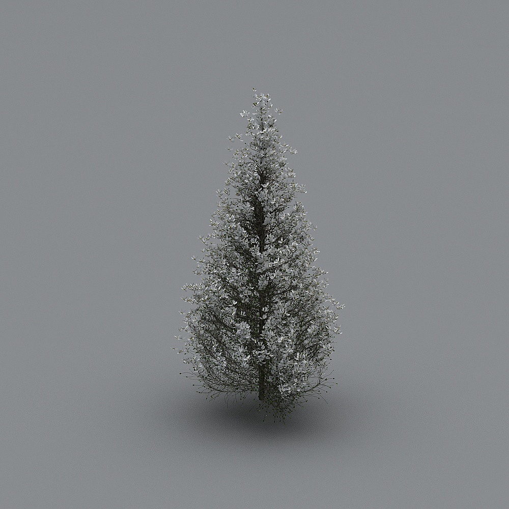 Vibrant Cherry Blossom Tree 3D Model