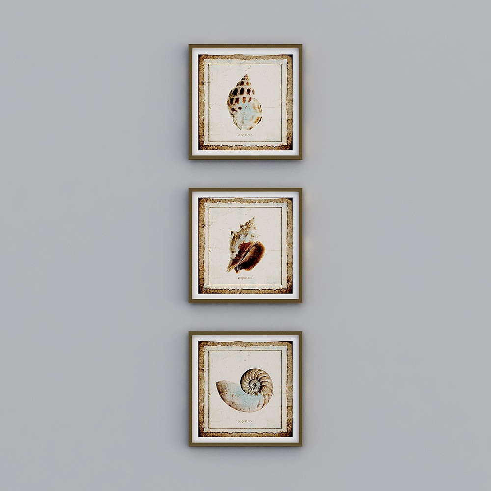 Three framed wall art prints with vintage seashell illustrations in brown frames on grey background
