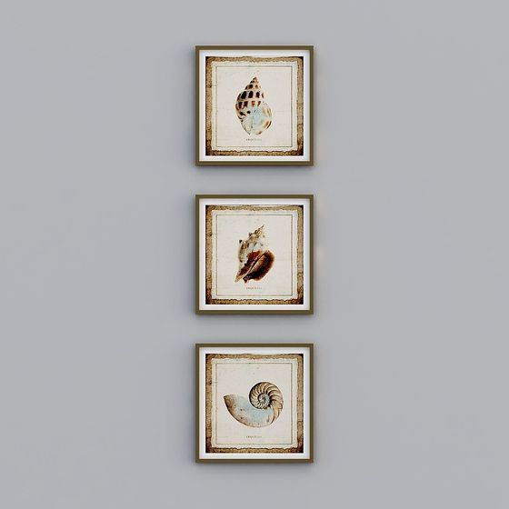 Three framed wall art prints with vintage seashell illustrations in brown frames on grey background