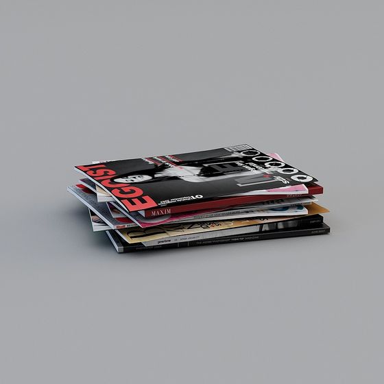 Magazines Stack 3D model