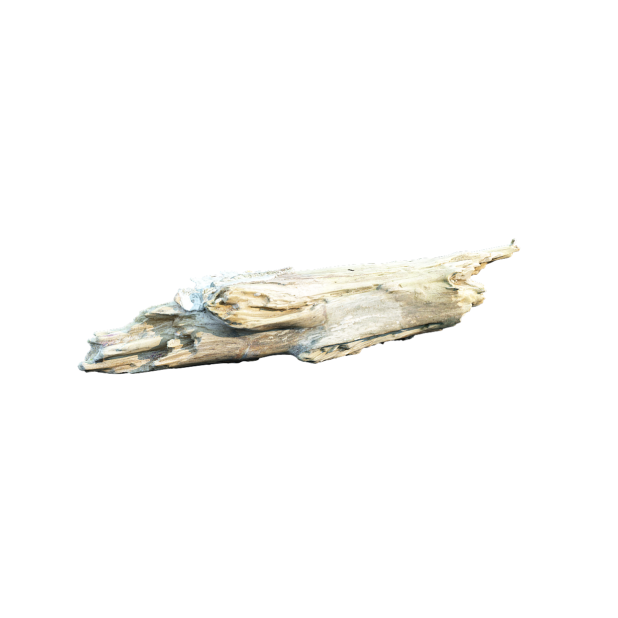 Ancient Driftwood 3D Model – Natural Wood Detail