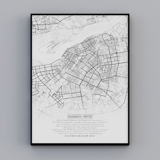 Harbin City Planning Map 3D Model