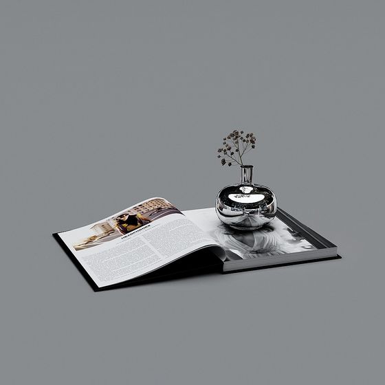 Glass Vase and Magazine 3D model