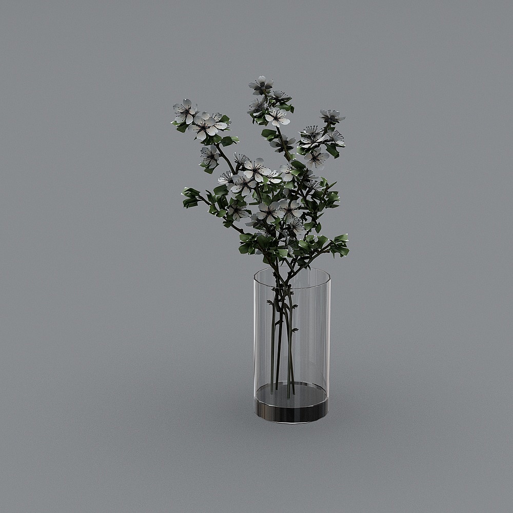 Plants glass vase 001