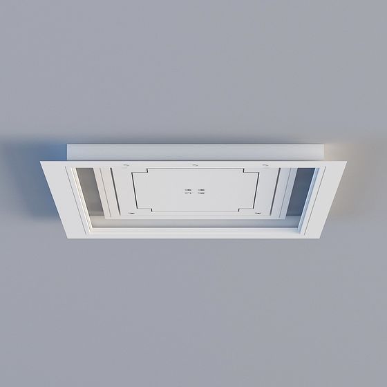 Salon de style chinois moderne 2011 (plafond de hall)