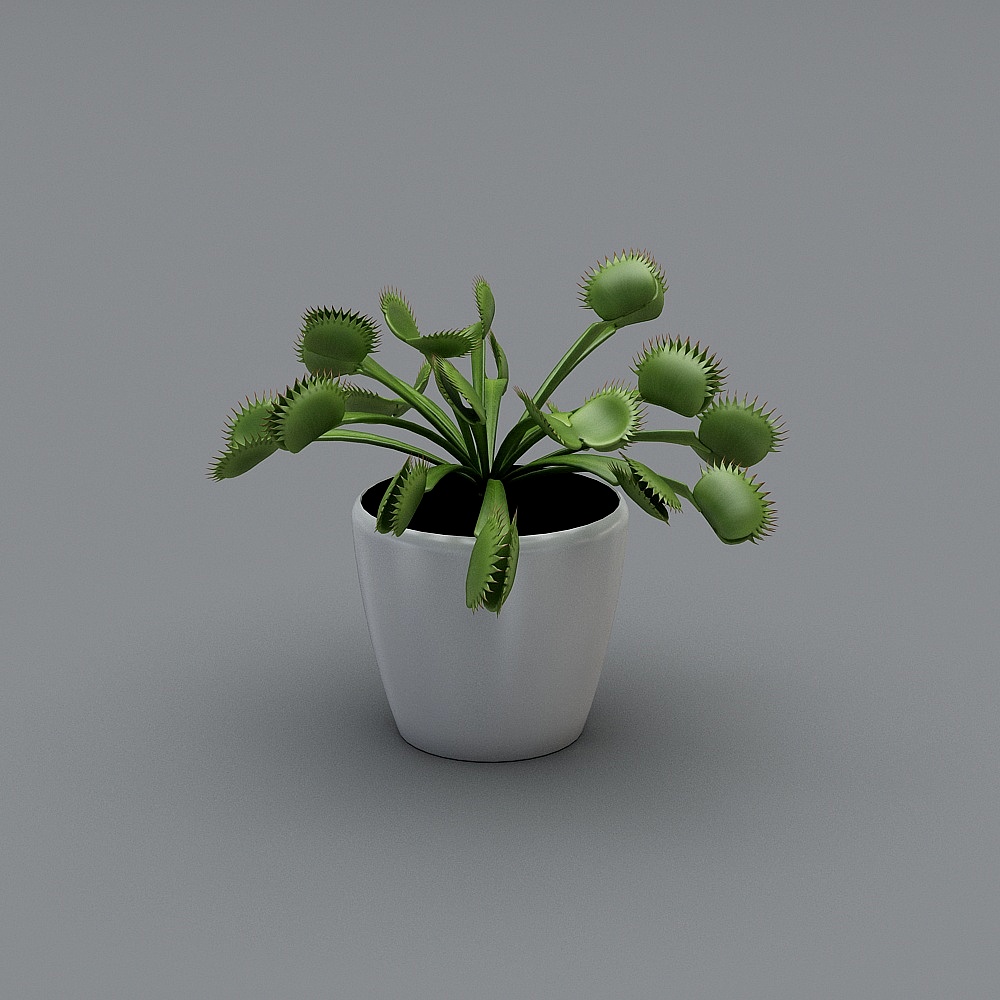 Oya-Spring Ballet-緑の葉ホワイトバスケット