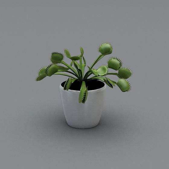 Oya-Spring Ballet-緑の葉ホワイトバスケット