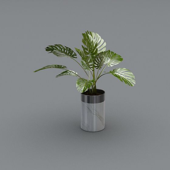 Urban Greenery 3D Model for Modern Interiors