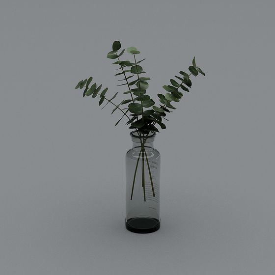 Glass Vase with Eucalyptus 3D model