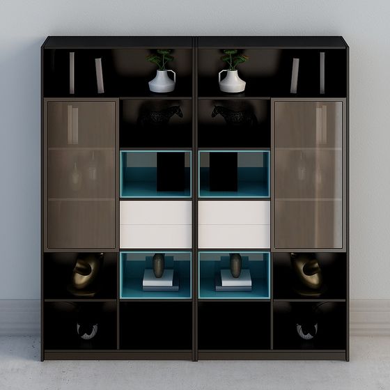 Комбинированный книжный шкаф D6778