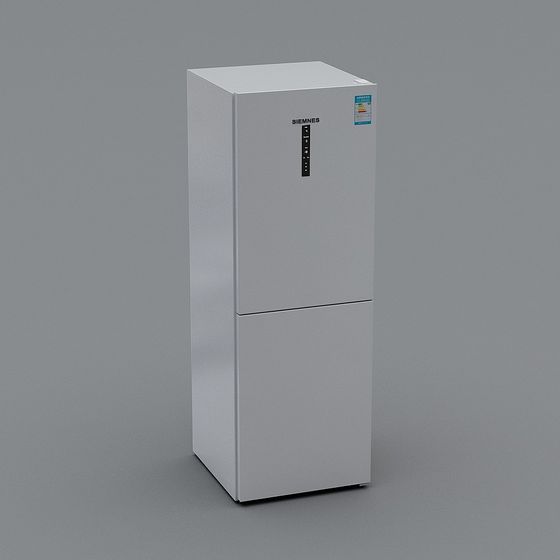 Réfrigérateur 1 (2019)