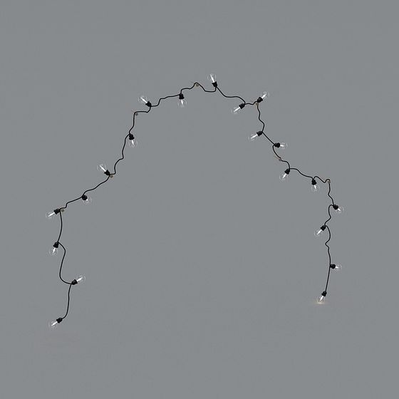 Twinkling String Lights 3D model