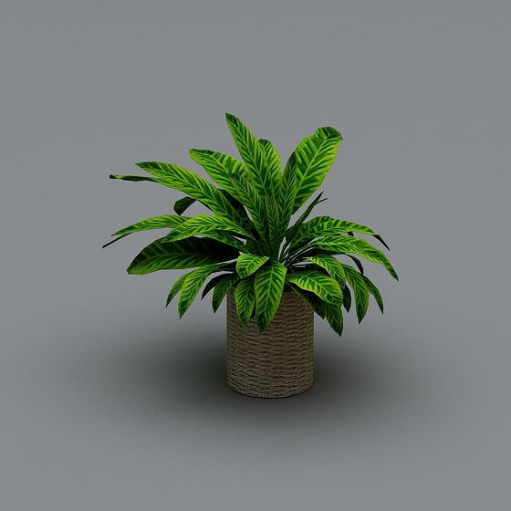 グリーンプランツ