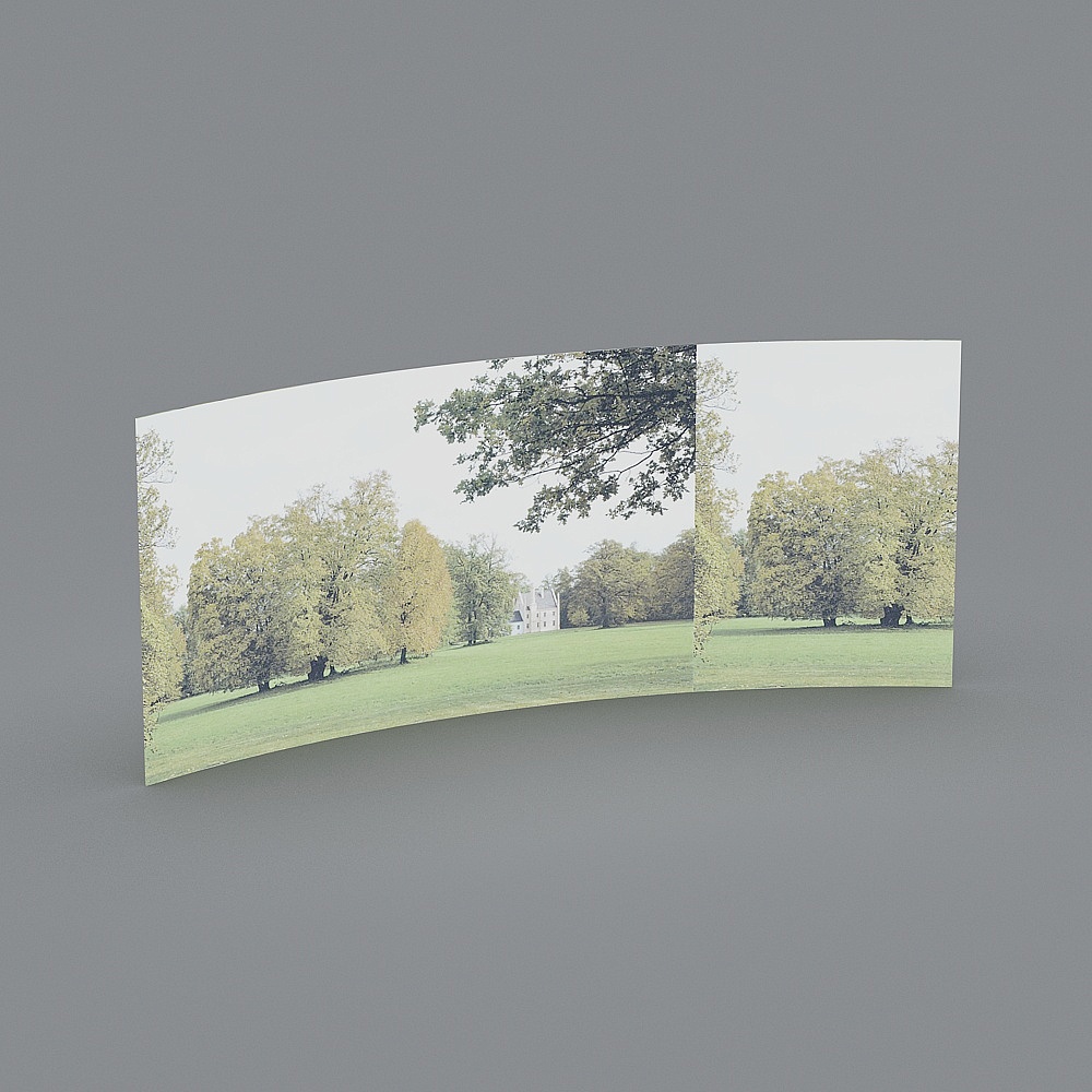 Environment picture model