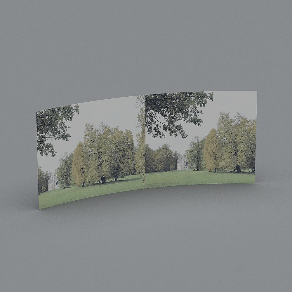 Environment picture model