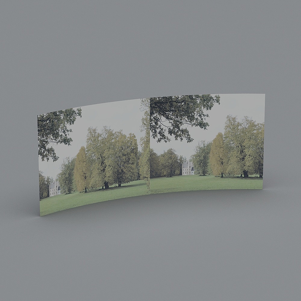 Environment picture model