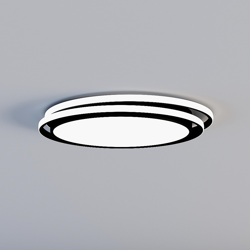 Ceiling light