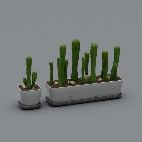 Desert Greenery Cactus 3D Model for Creative Projects