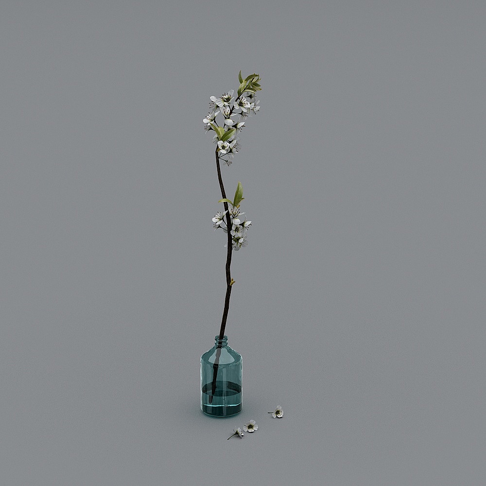 Spring Branch 3D model
