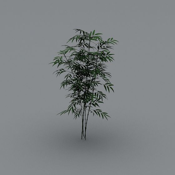 Bamboo Forest Serenity 3D model