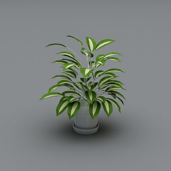 Indoor Plant 3D Model for Creative Spaces