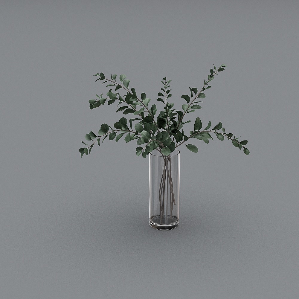 Stylish Eucalyptus in Glass Vase 3D model