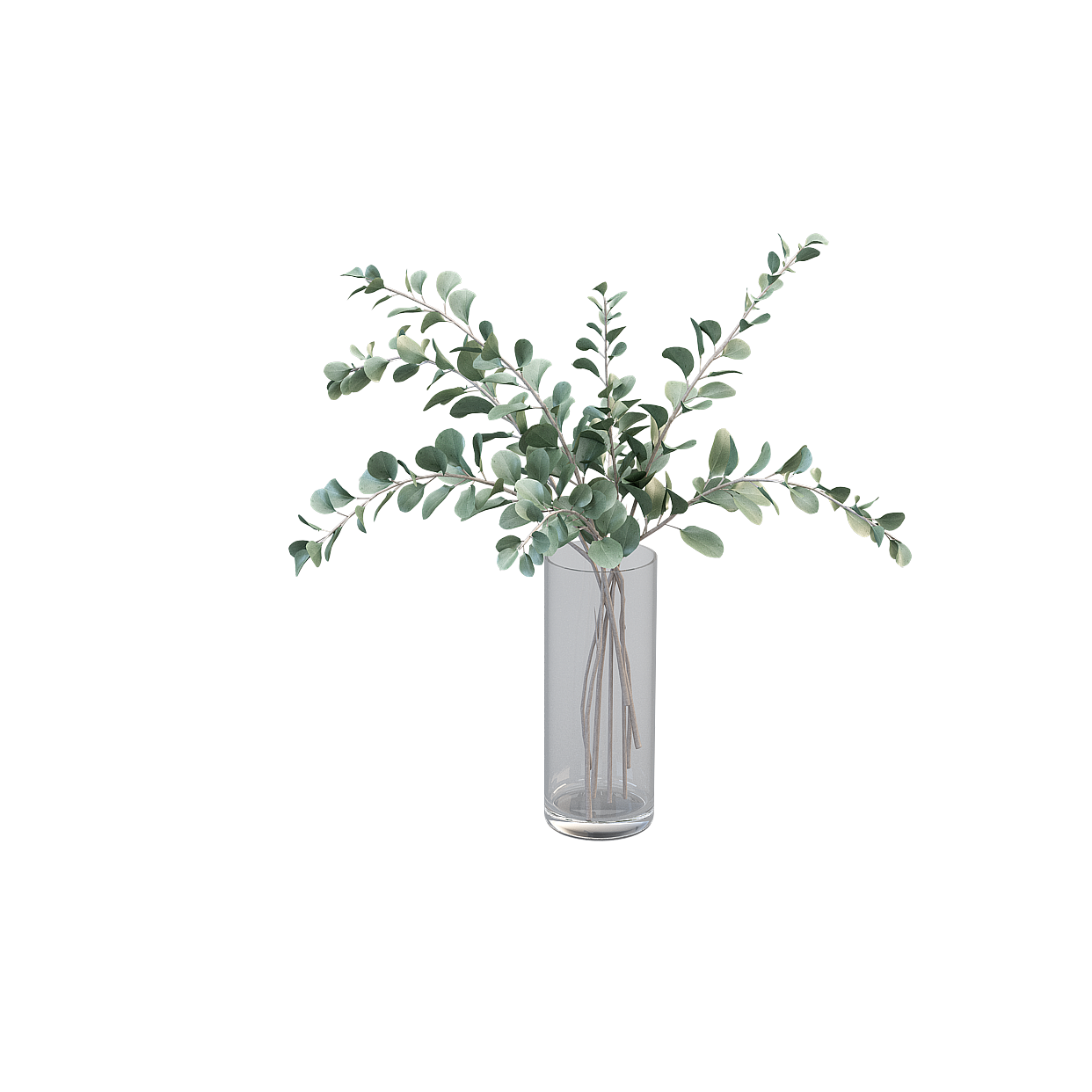 Eucalyptus in Glass Vase 3D Model – Natural Decor Asset