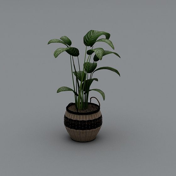 Bamboo Weave Planter Plant 3D model
