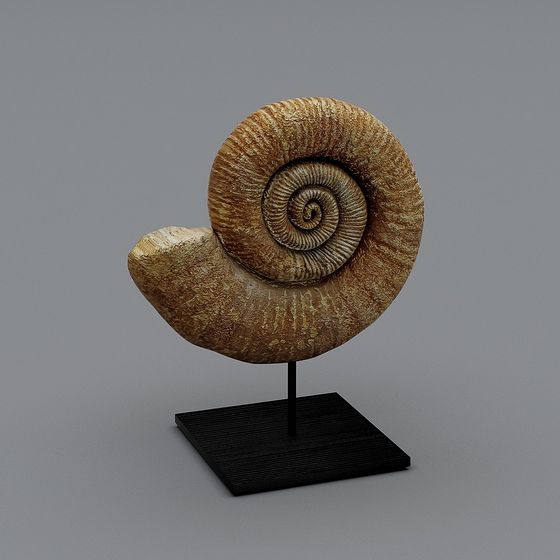 Realistic Fossil Snail 3D model