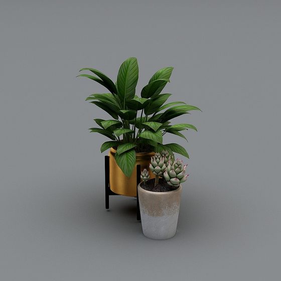 Indoor Plants Arrangement 3D model for Modern Spaces